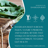 Teeccino Dandelion Herbal Tea - Dark Roast - 25 Tea Bags, Caffeine-Free, Roasted Herbal Tea with Prebiotics, 3x More Herbs than Regular Tea Bags