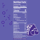 Vita Ice Acai Blueberry Pomegranate, 12 Pack, 17 oz. Bottles