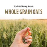 McCann's Instant Irish Oatmeal, Regular, 12 Packets