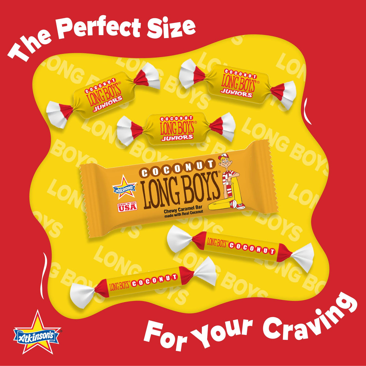 LONG BOYS COCONUT .39 OUNCES 48 COUNT