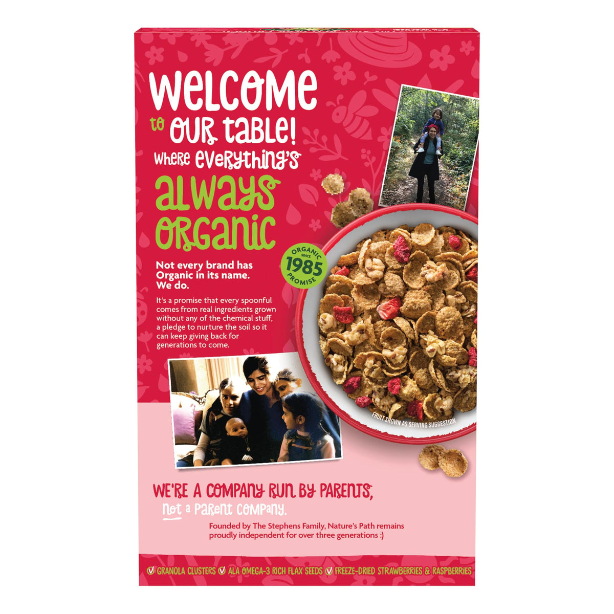 Nature's Path Organic Flax Plus Red Berry Crunch Cereal, 10.6 oz (Pack of 1), Non-GMO