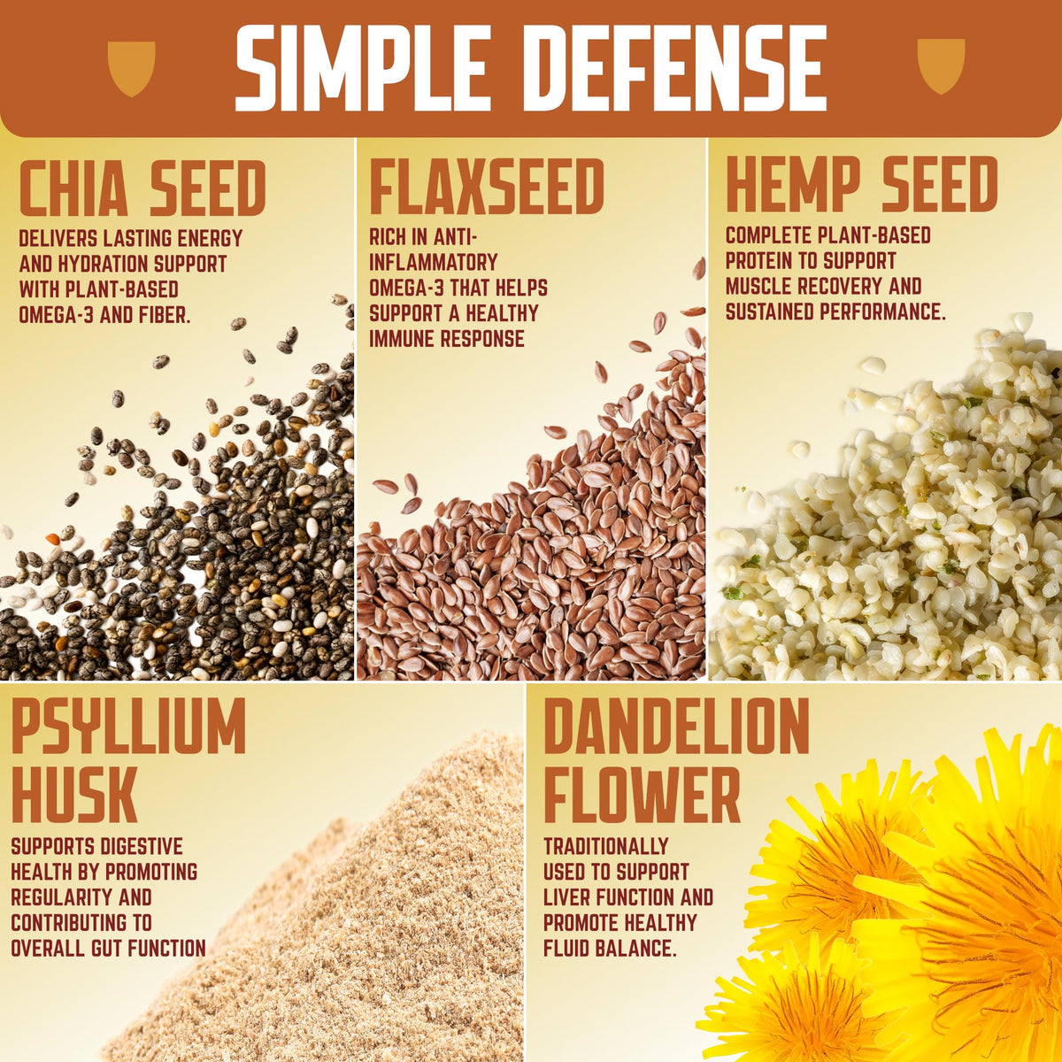 Defender Vegan Protein Bar, Peanut Butter Chocolate, Plant Based Snack or Breakfast Bars, Psyllium Husk, Dandelion Root, High Fiber, Non GMO, Kosher
