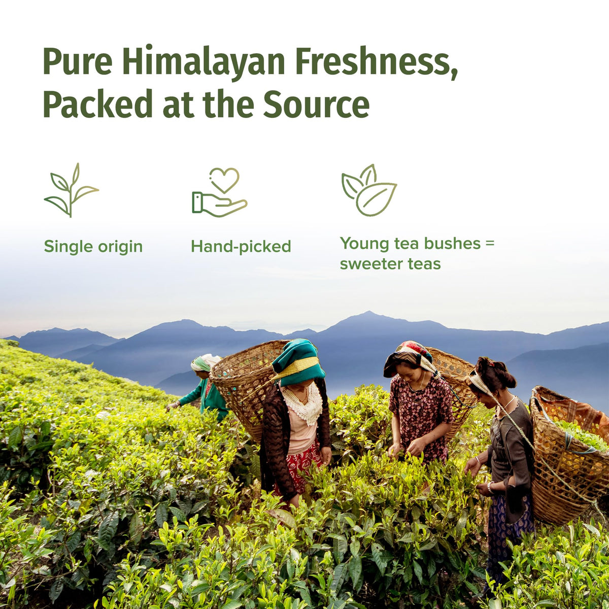 NEPAL TEA Organic Black Tea Loose Leaf - Certified Organic Premium Loose Leaf Black Tea - Single Origin from a Family Farm in the Himalayas - 3.5
