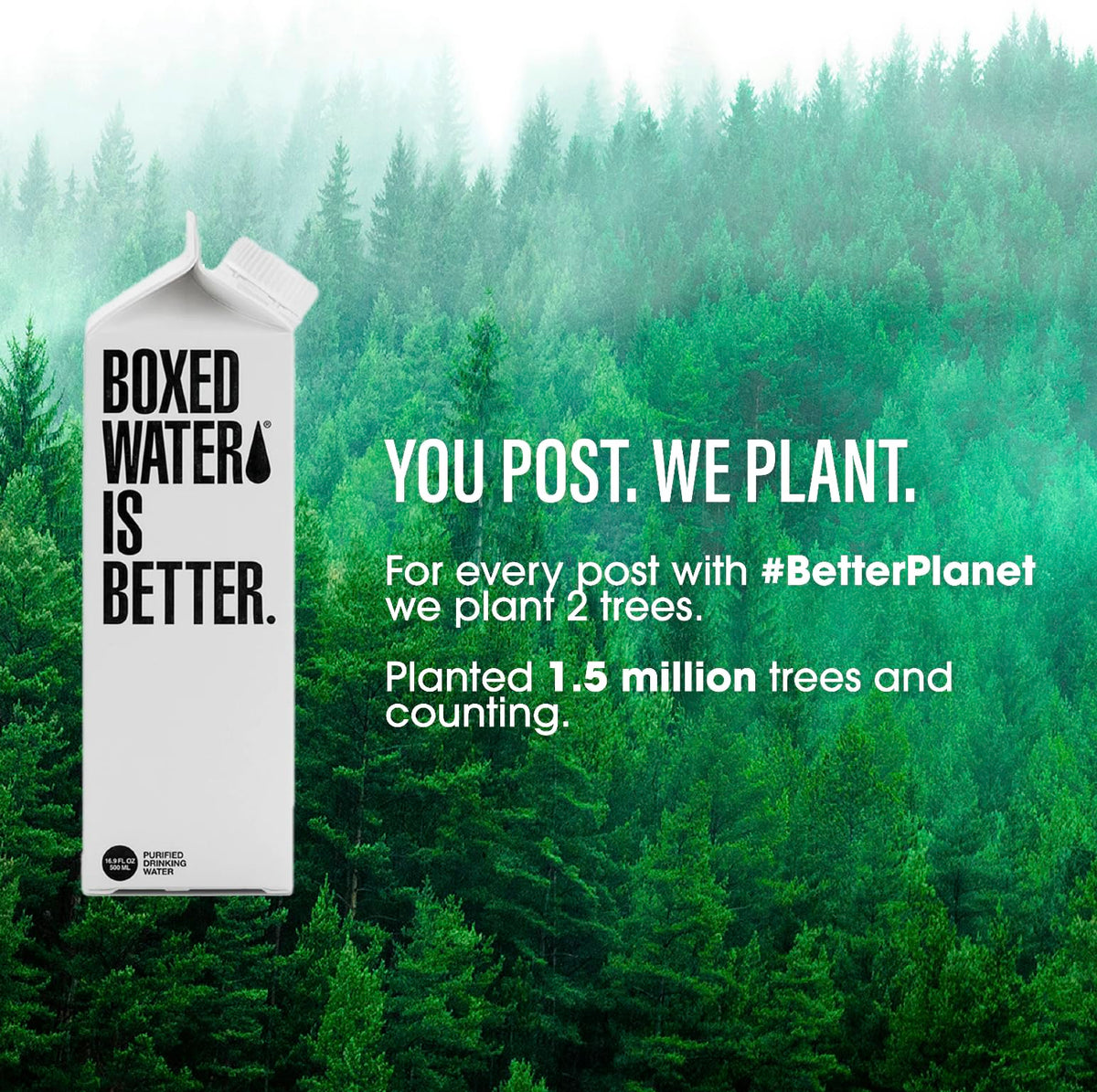 Boxed Water 16.9 oz. (24 Pack) - A Sustainable Alternative - Better Than Premium Plastic Bottles - Purified Drinking Water in Plant-Based Cartons