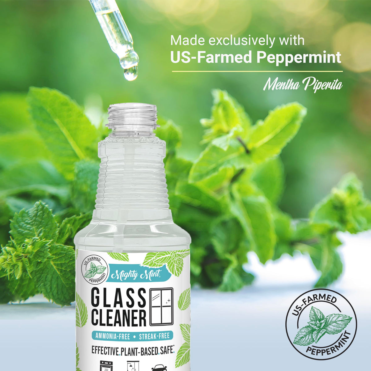 Mighty Mint Glass Cleaner, Ammonia-Free, Streak-Free Spray for Windows, Screens, Stovetop, Bathroom, Natural Peppermint Scent, 16oz