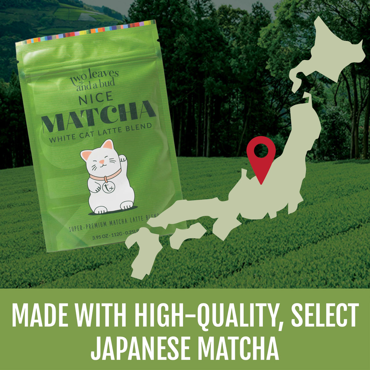 Two Leaves and a Bud Nice Matcha Latte Blend, Japanese Matcha Green Tea Powder, 2 Resealable Bags, 224g
