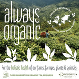 Davidson's Organic Tea Bulk, Cinnamon Apple, 16-Ounce Bag