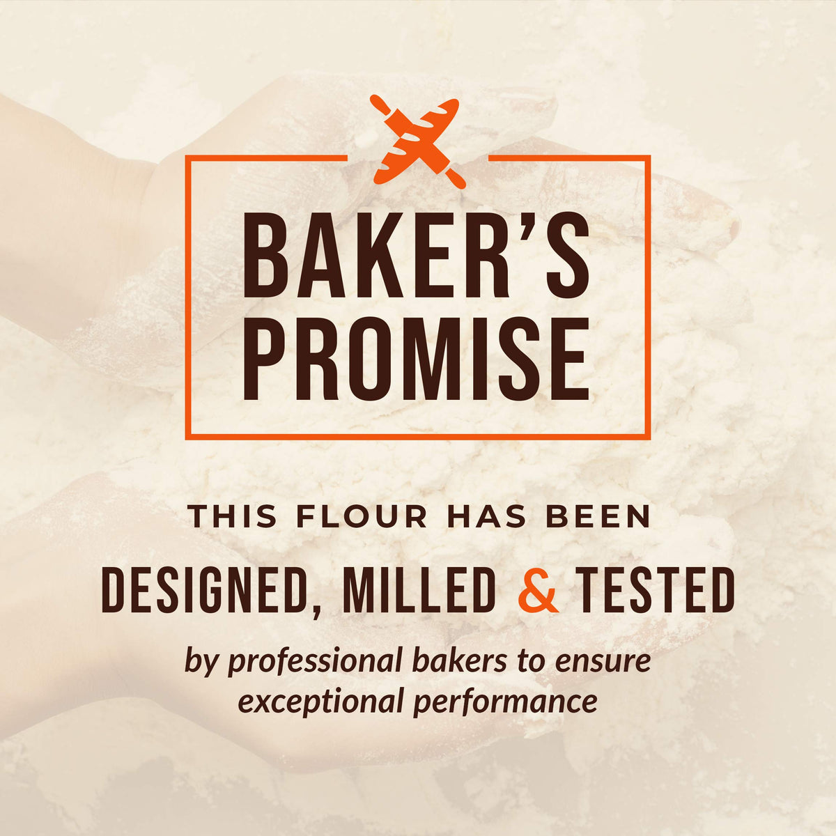 100% Organic All Purpose Unbleached White Baking Flour - 10 Pound