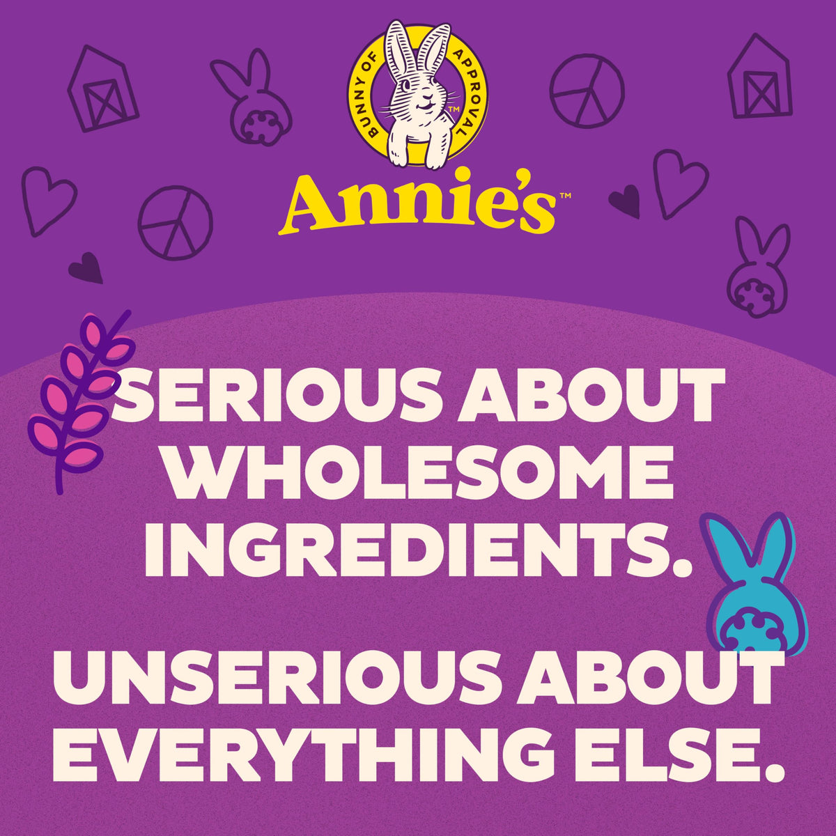 Annies Homegrown Organic Grass Fed Shells and White Cheddar Macaroni and Cheese, 6 Ounce (Pack of 12)