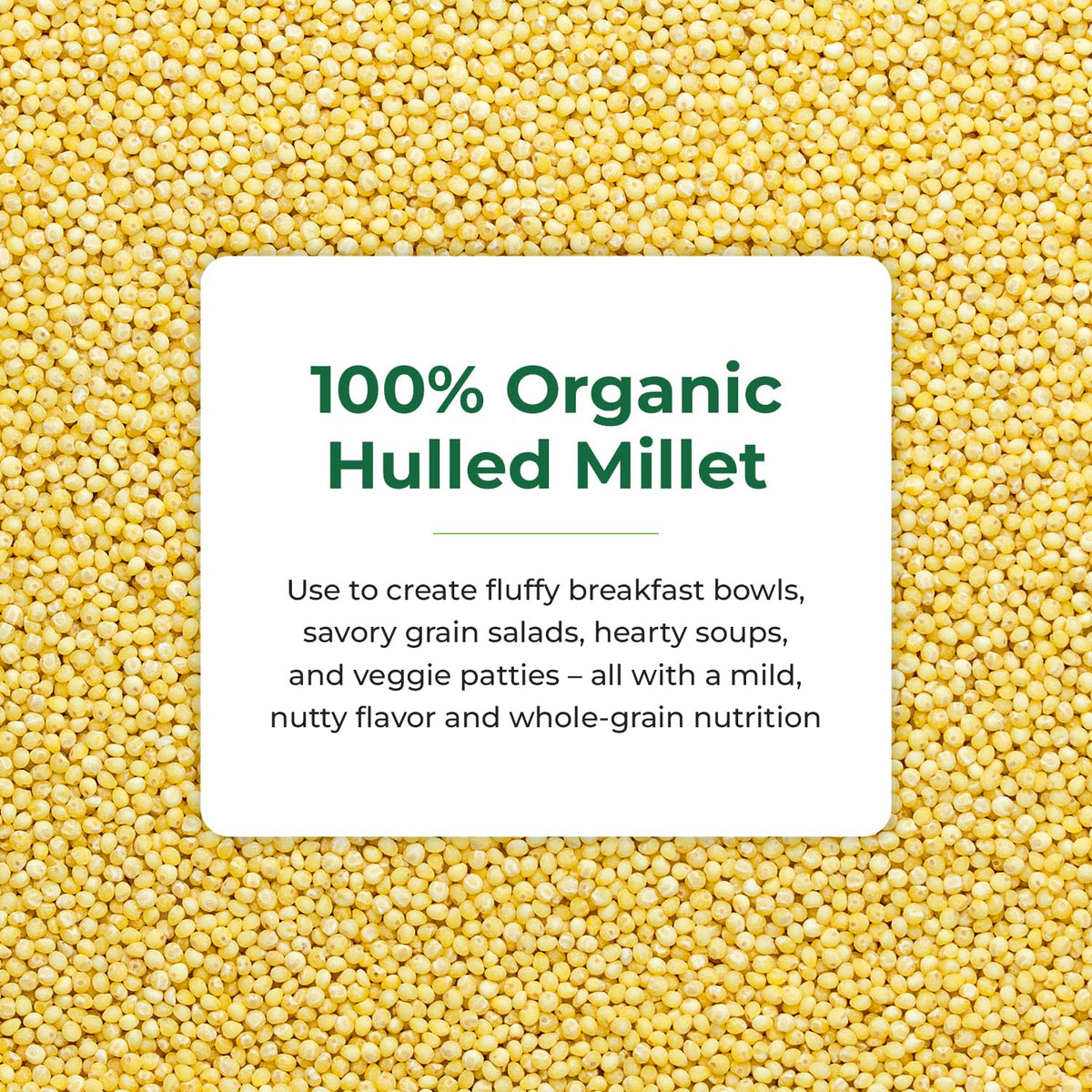 Quay Naturals Organic Hulled Millet, 2.5 lbs, USA Grown, Non-GMO, Gluten-Free, Whole Grain, Easy to Digest, Vegan-Friendly