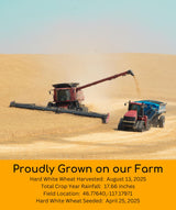 Palouse Brand Certified Glyphosate Residue Free Hard White Wheat Berries | 5 LBS | Non-GMO Project Verified | Kosher
