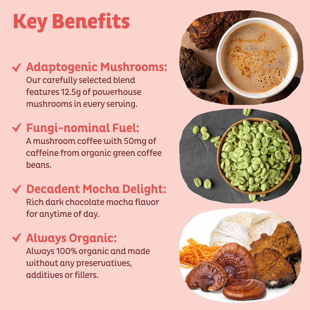 KOS Mushroom Coffee - USDA Certified Organic - Dark Chocolate Mocha Flavor - Mushroom Coffee Latte Powder with Reishi, Cordyceps, Lion's Mane, Chaga