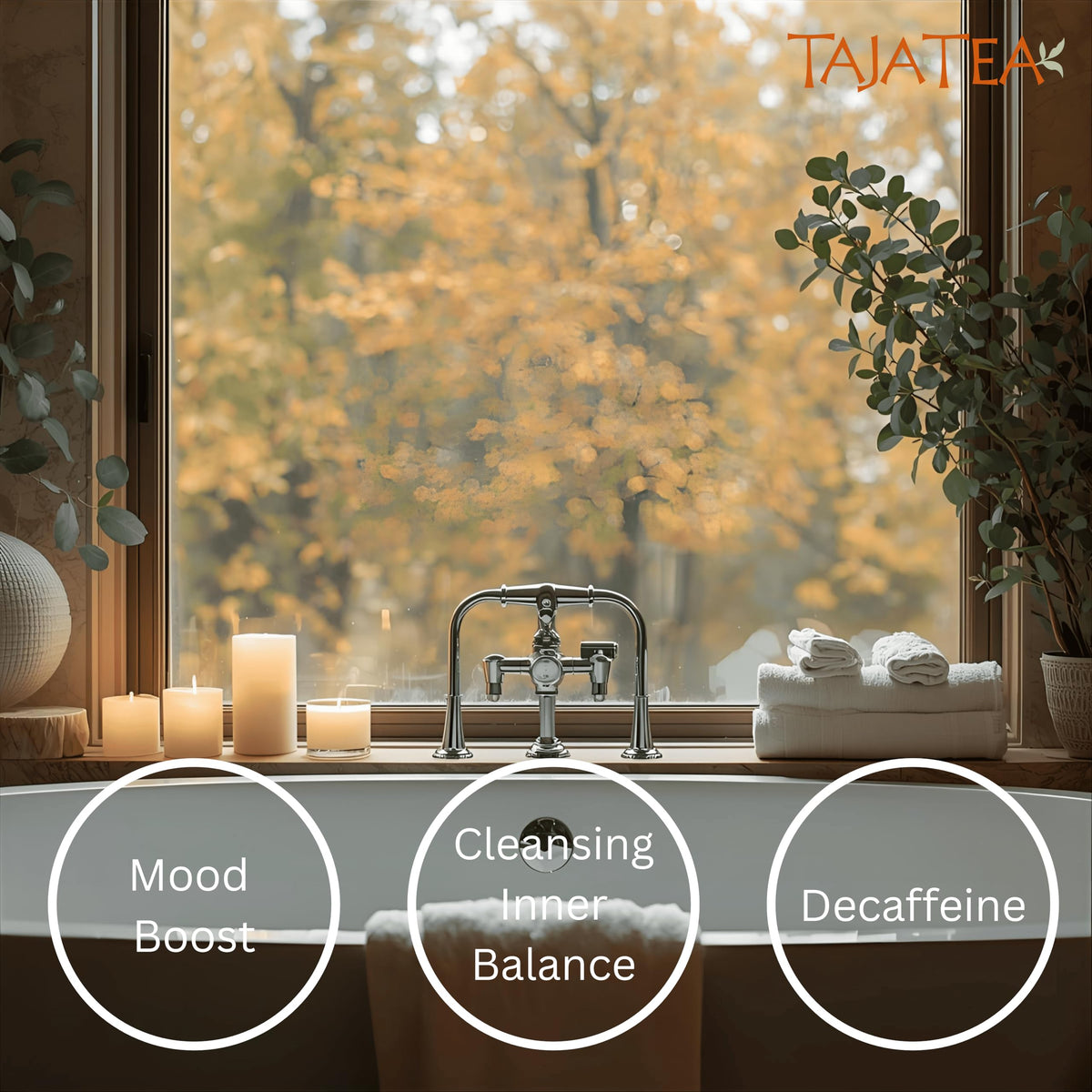 Taja Saffron Tea - Saffron & Cinnamon Fusion Chai, Balanced Wellness Blend for Mindful Comfort, Mood Boost, Decaffeinated | Gluten Free | Kosher, 20