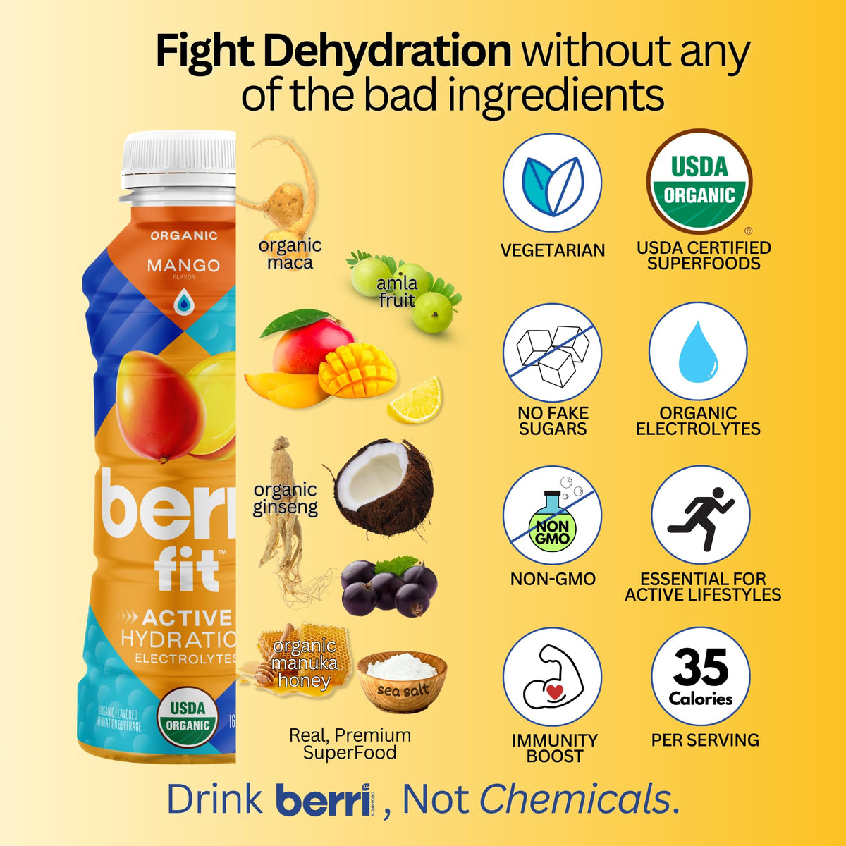 Berri Fit Hydration - Organic Mango Flavor Natural Sports Drink - Plant-Based Electrolyte Beverage - Low Calorie, Paleo Coconut Water Solution, 16oz