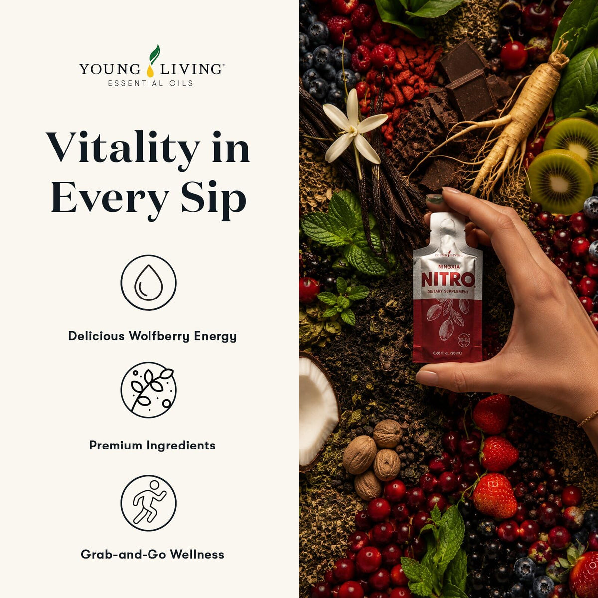 Young Living NingXia Nitro | 1 Pack (14 Sachets) | Energizing Wolfberry Drink with Green Tea & Korean Ginseng | Supports Focus, Energy & Physical