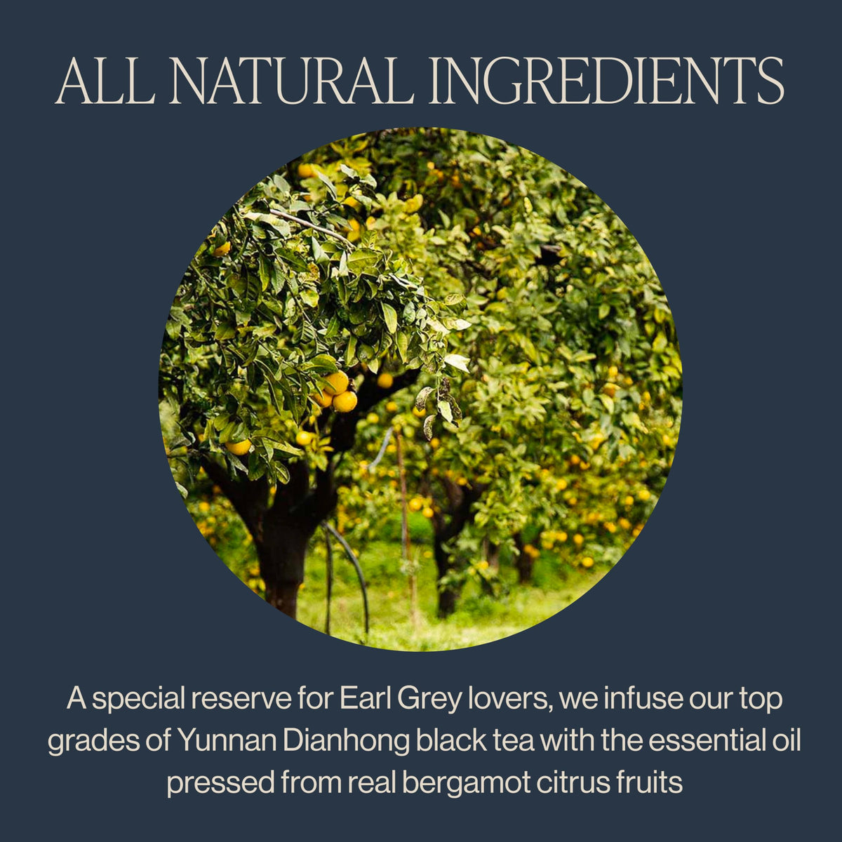 Rishi Tea Earl Grey Supreme Tea - Organic, Caffeinated Loose Leaf Tea with Bergamot Oil and Top Grade Yunnan Black Tea - 4 Ounces, 12+ Servings