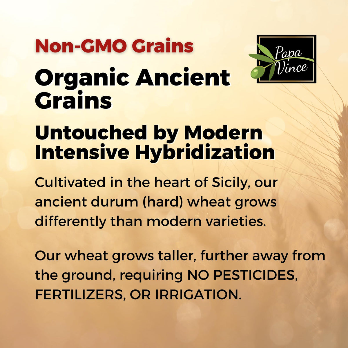 Papa Vince Organic Non Enriched Pasta - Ancient Grain, high in fiber, high in protein, Timilia/Tumminia grown in Sicily Italy. Al dente texture, nutty