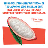 Blue Stripes Cacao Fruit Gummies Variety Pack - Fruit Snacks for Kids and Adult | No Sugar Added | Gluten Free, Vegan Chewy Superfruit Gummy | Mango