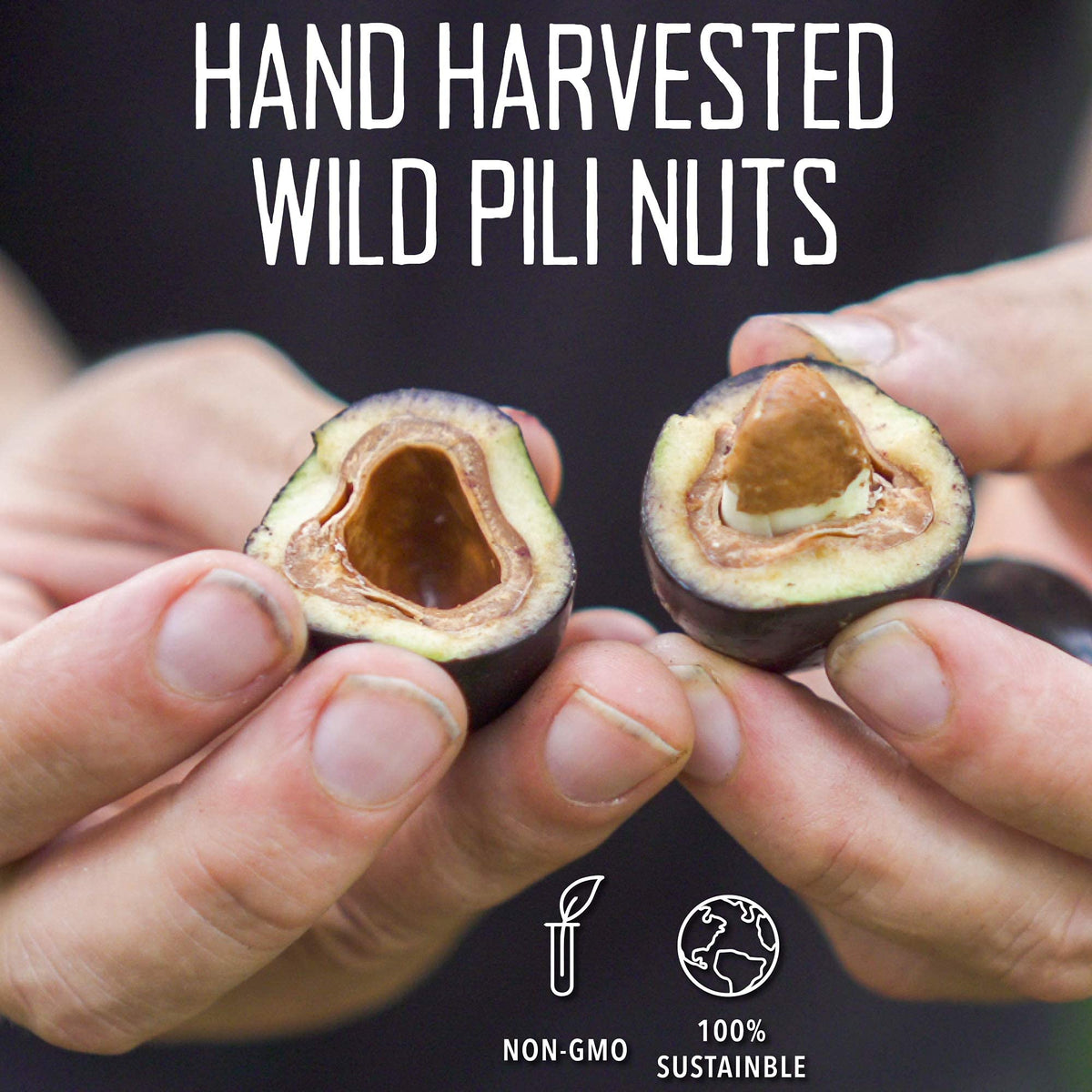 Pili Hunters - Wild Sprouted Pili Nuts, Pink Himalayan Salt, 5oz Bag, Keto/Paleo/Vegan Snacks, Low Carb Energy, Gluten Free, No Sugar Added