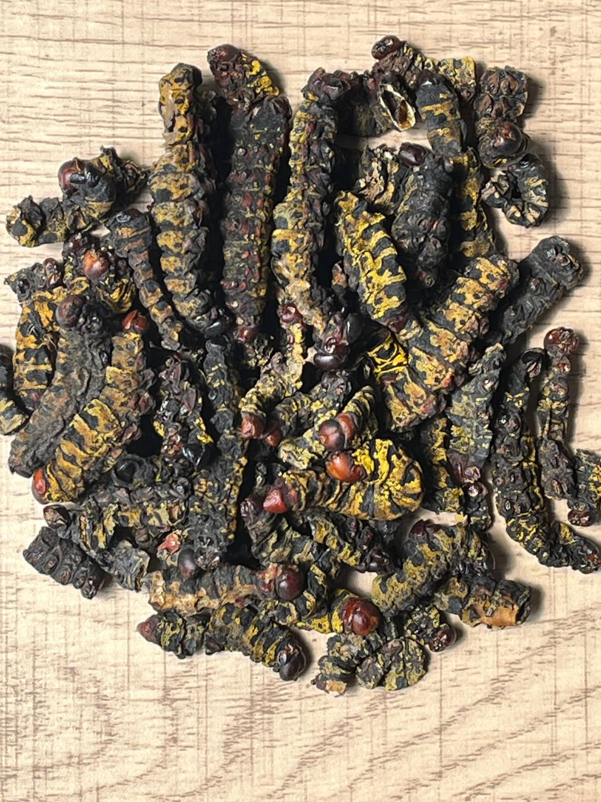 KOPABANA Mbinzo | Dried Edible Caterpillard | Chenille 2 oz