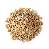 Food to Live - Dry Roasted Sunflower Seed Kernels with Himalayan Salt, 2 Pounds - Oven Roasted Lightly Salted, No Shell, Vegan, Kosher, Bulk.