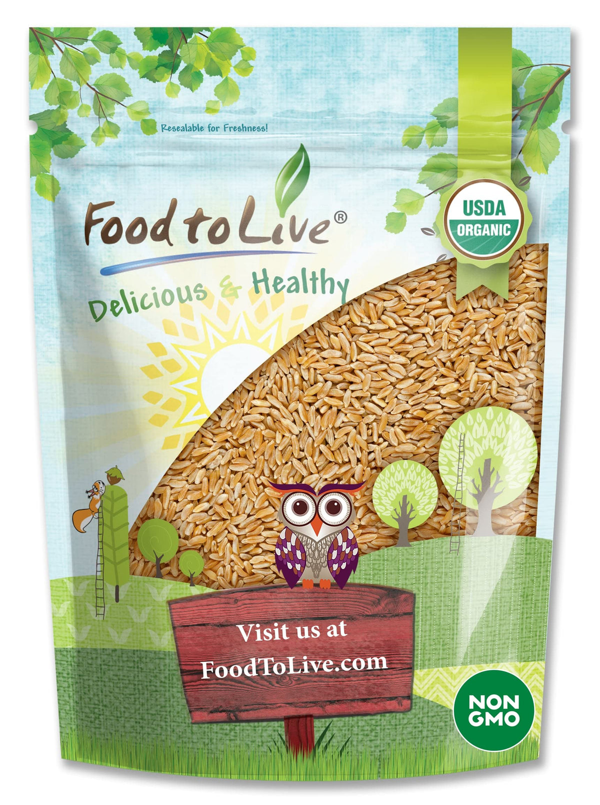 Food to Live Organic KAMUT Khorasan Wheat Berries, 3 Pounds - 100% Whole Grain, Sproutable for Wheatgrass, Non-GMO, Kosher, Bulk