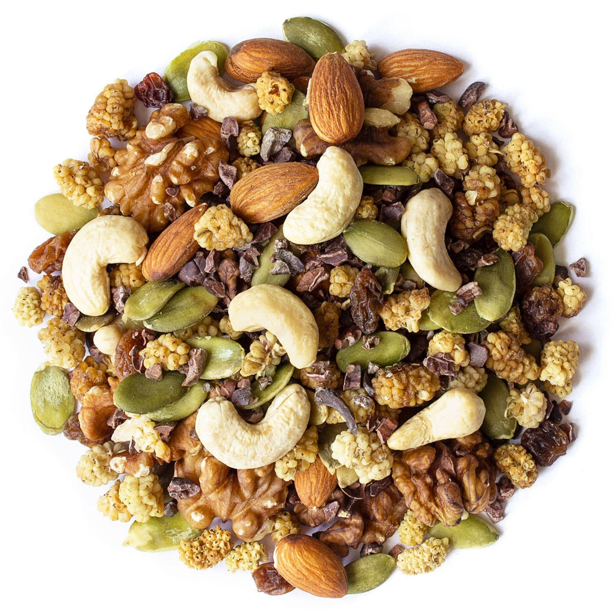 Food to Live Organic Snack Wise Trail Mix, 8 Ounces - Raw and Non-GMO Contains Cacao Nibs, Raisins, Almonds, Cashews, Walnuts, Mulberries, Pumpkin