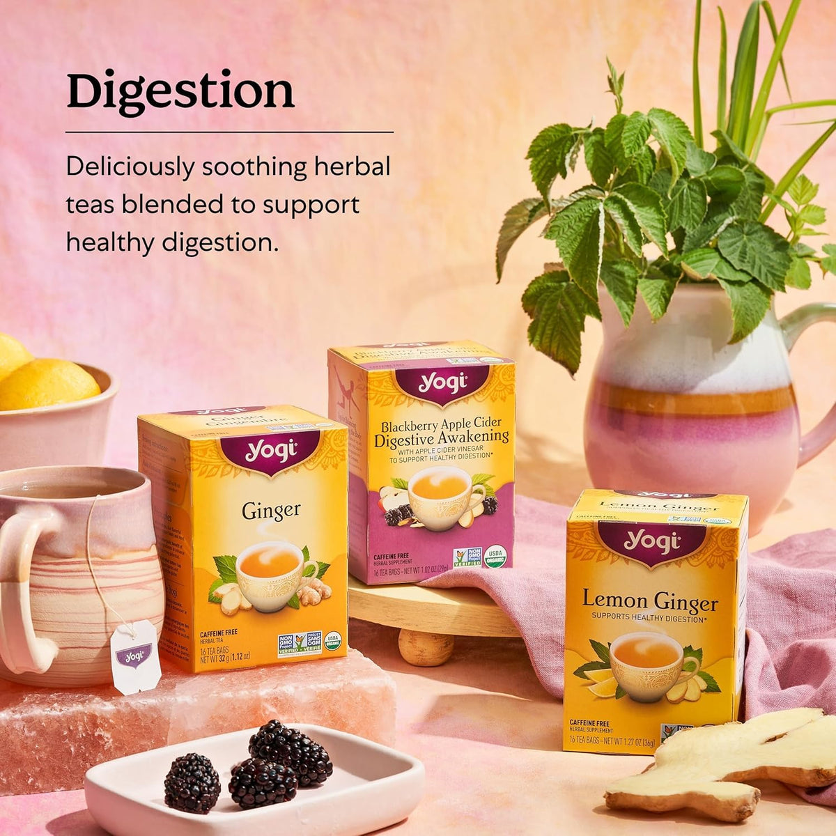 Yogi Tea - Purely Peppermint Tea (2 Pack) - Supports Healthy Digestion - Caffeine Free - 32 Organic Herbal Tea Bags