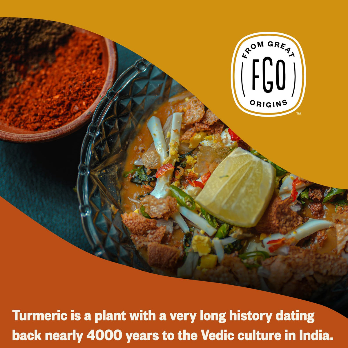 FGO Organic Turmeric Powder w/Curcumin, 1 Pound / 16oz Bulk Resealable Pouch, USDA Organic and Non-GMO, Sourced from India, Packaging May Vary (Pack