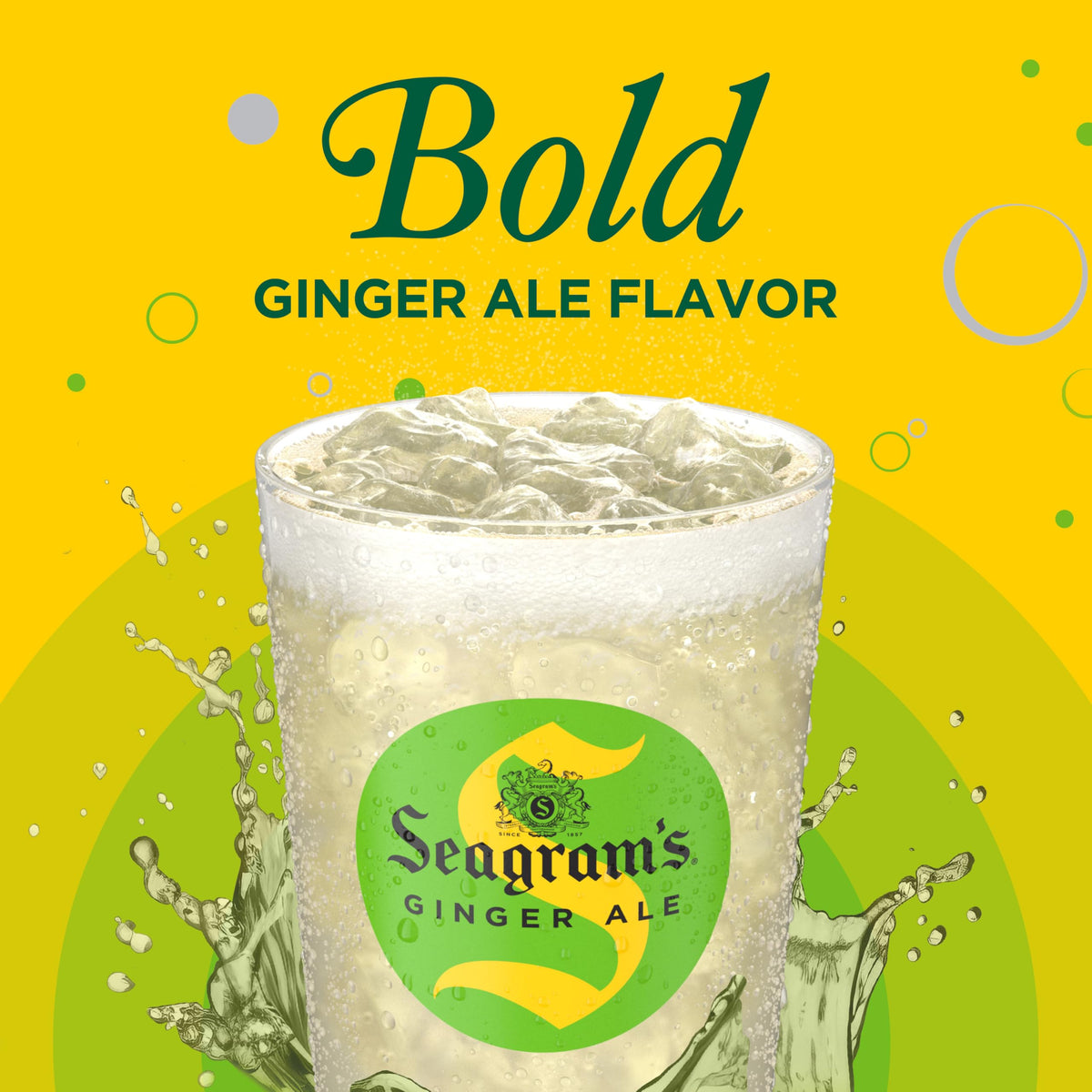 Seagram's Ginger Ale Soda Soft Drink, 20 Fl oz