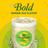 Seagram's Ginger Ale Soda Soft Drink, 20 Fl oz