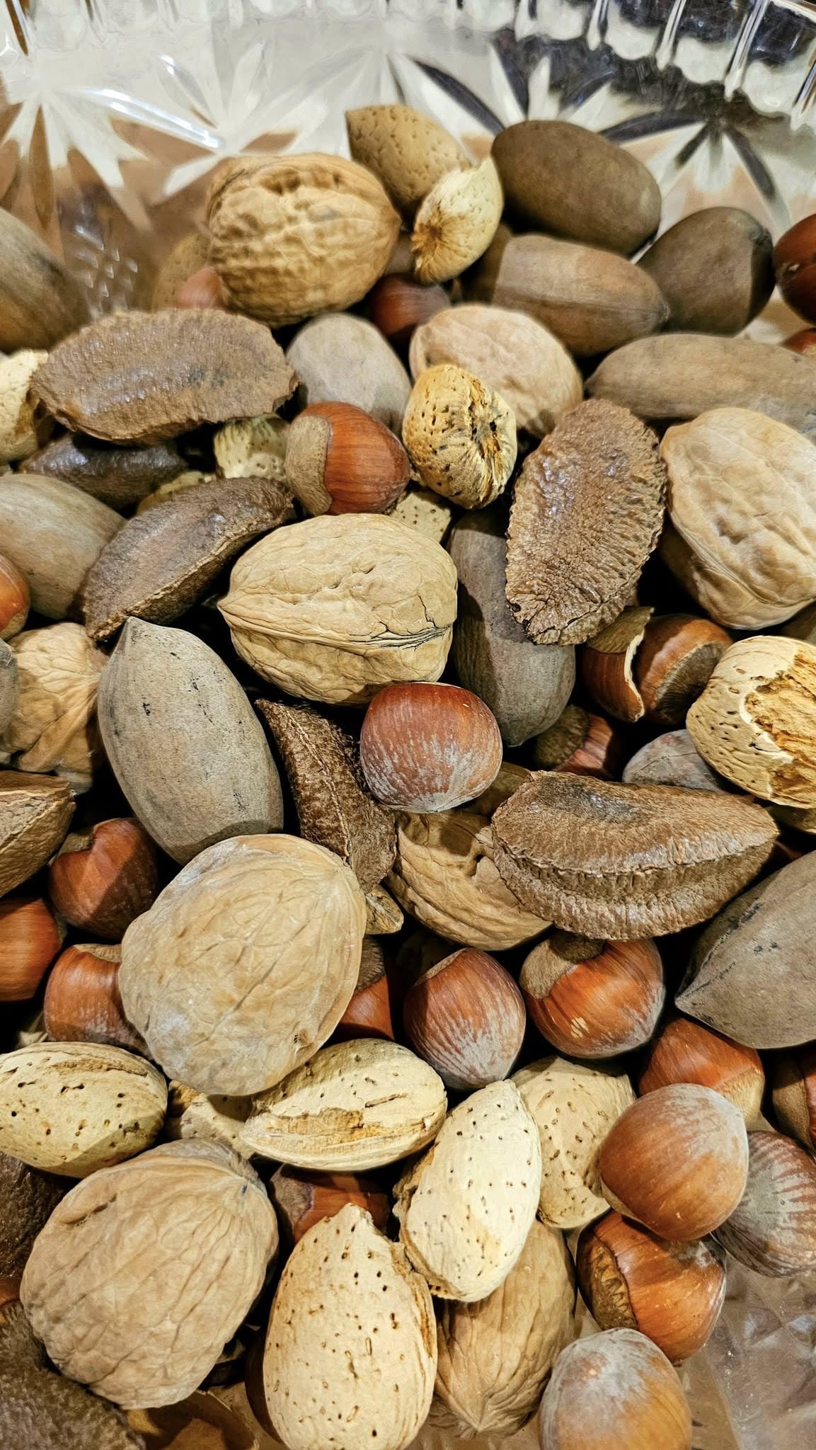 California Fresh Raw In-shell Whole Mixed Nuts (4)
