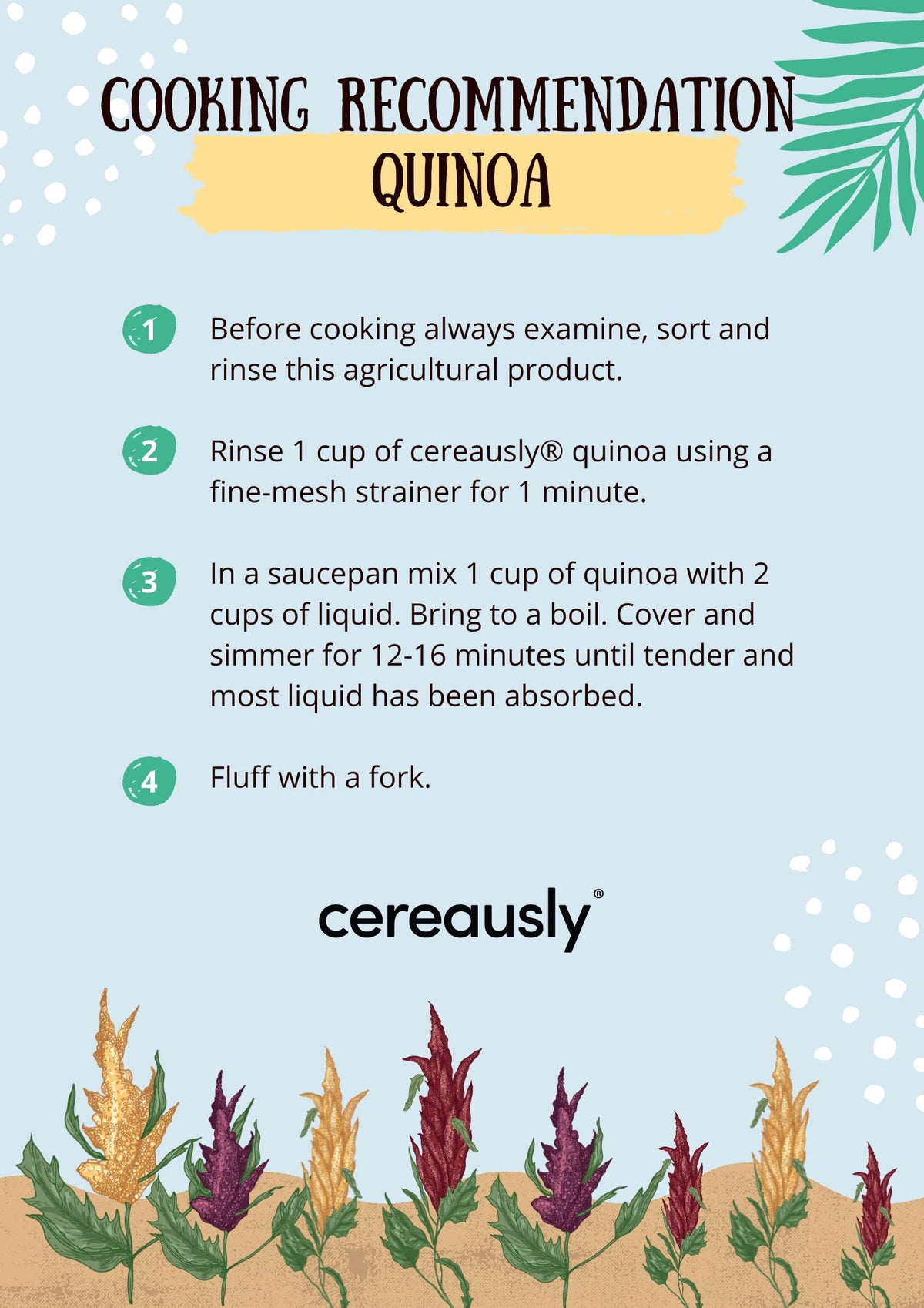 CEREAUSLY Organic White Quinoa - Premium Royal Quinoa from Bolivia - Kosher and Non-GMO Quinoa Bulk - Vegan and Gluten-Fee Cooking Quinoa - 4 LB