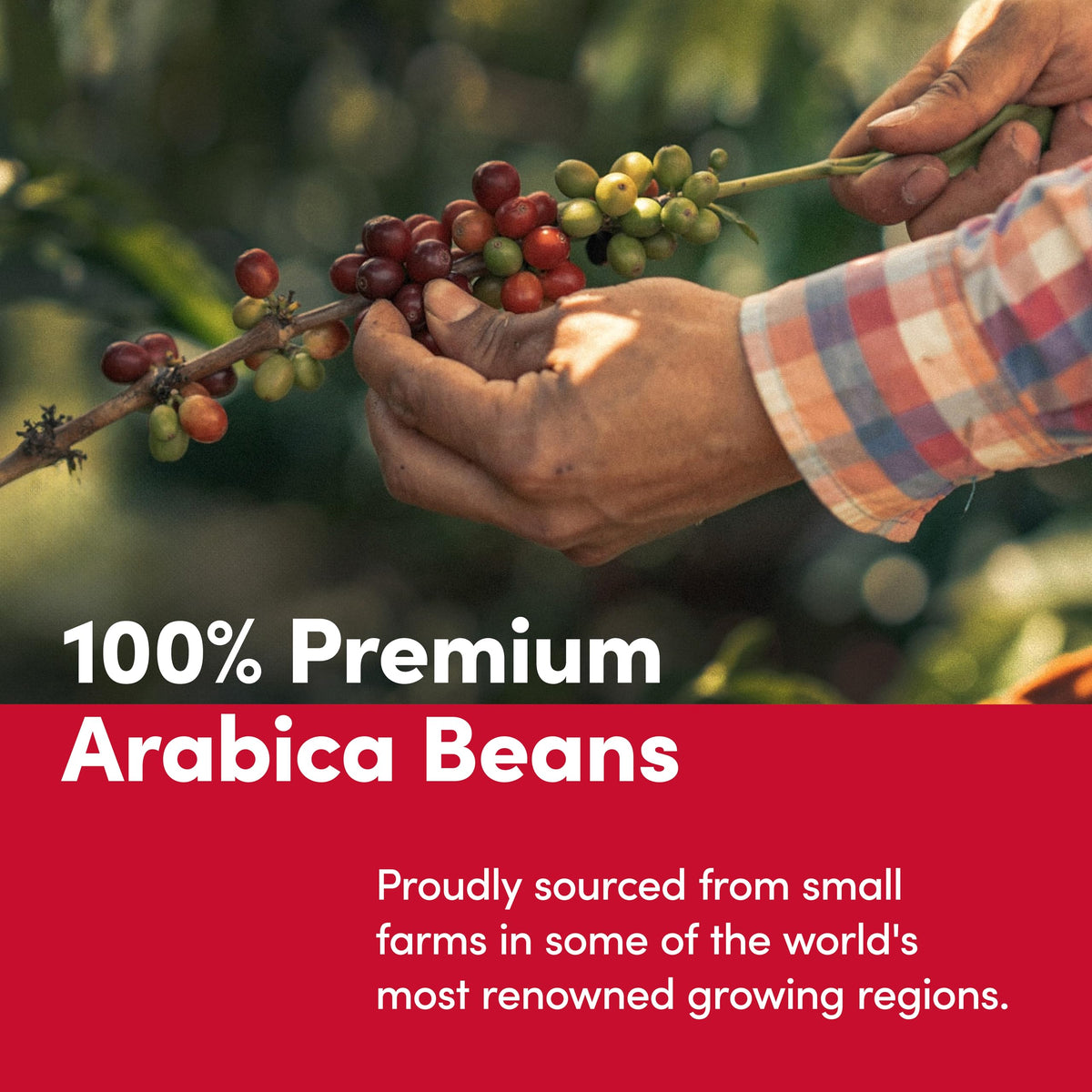 Tim Horton's 100% Arabica Medium Roast, Decaffeinated, Ground Coffee, 12 Ounce
