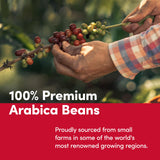 Tim Horton's 100% Arabica Medium Roast, Decaffeinated, Ground Coffee, 12 Ounce