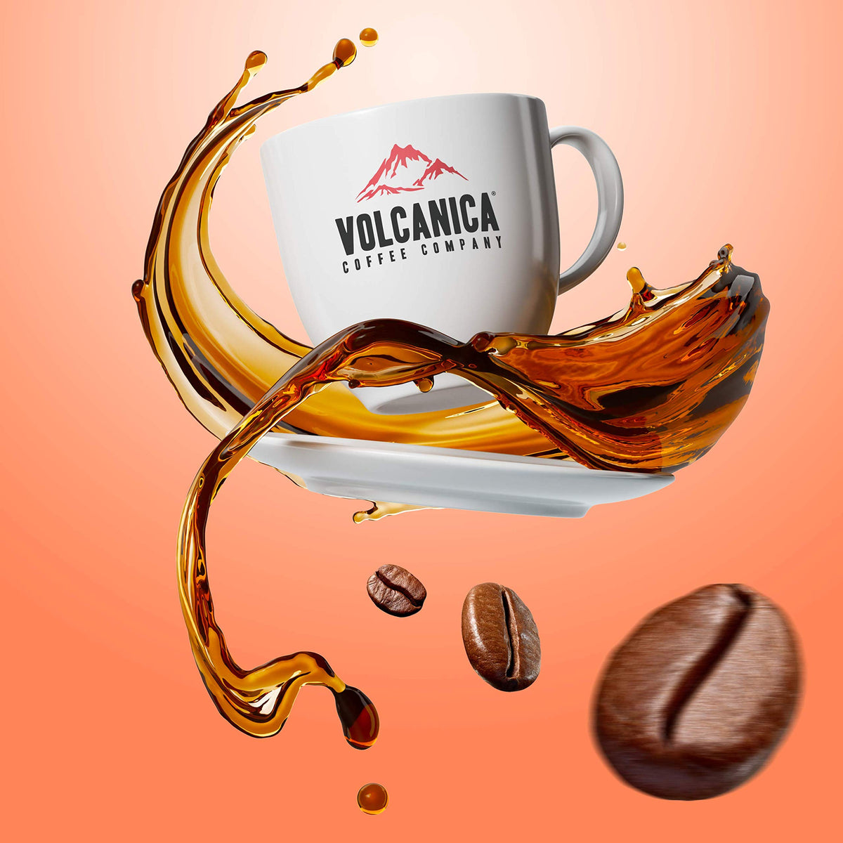 Indian Coffee - Monsoon Malabar AA, Whole Bean, Fresh Roasted, 16-ounce
