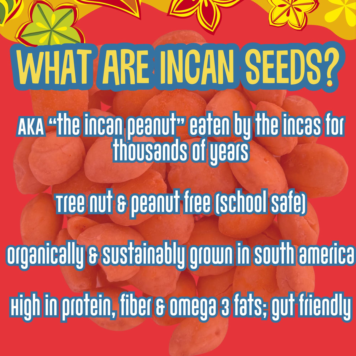 Brass Roots Organic Incan Protein Seeds - High Protein, School Safe, Nut Free, High Omega 3, Supports Gut Health, Good Source of Fiber, Shark Tank (10