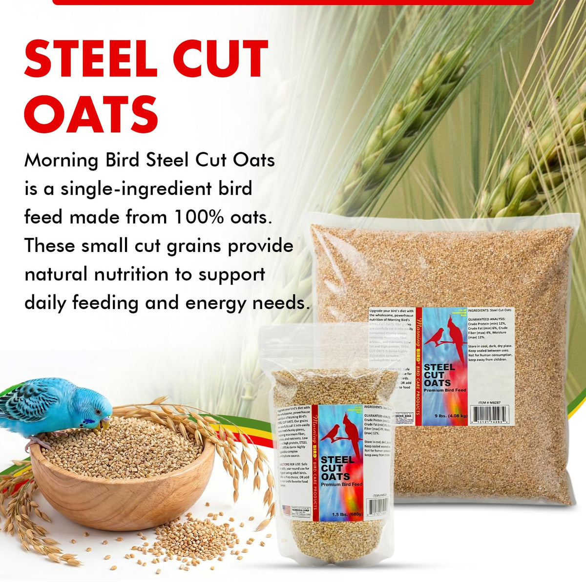 Morning Bird Steel Cut Oats 4.5 lb (3-Pack, 1.5 lb Each) - High Protein Natural Cut Oat Grain for Birds & Easy-to-Eat Pieces - Supports Balanced
