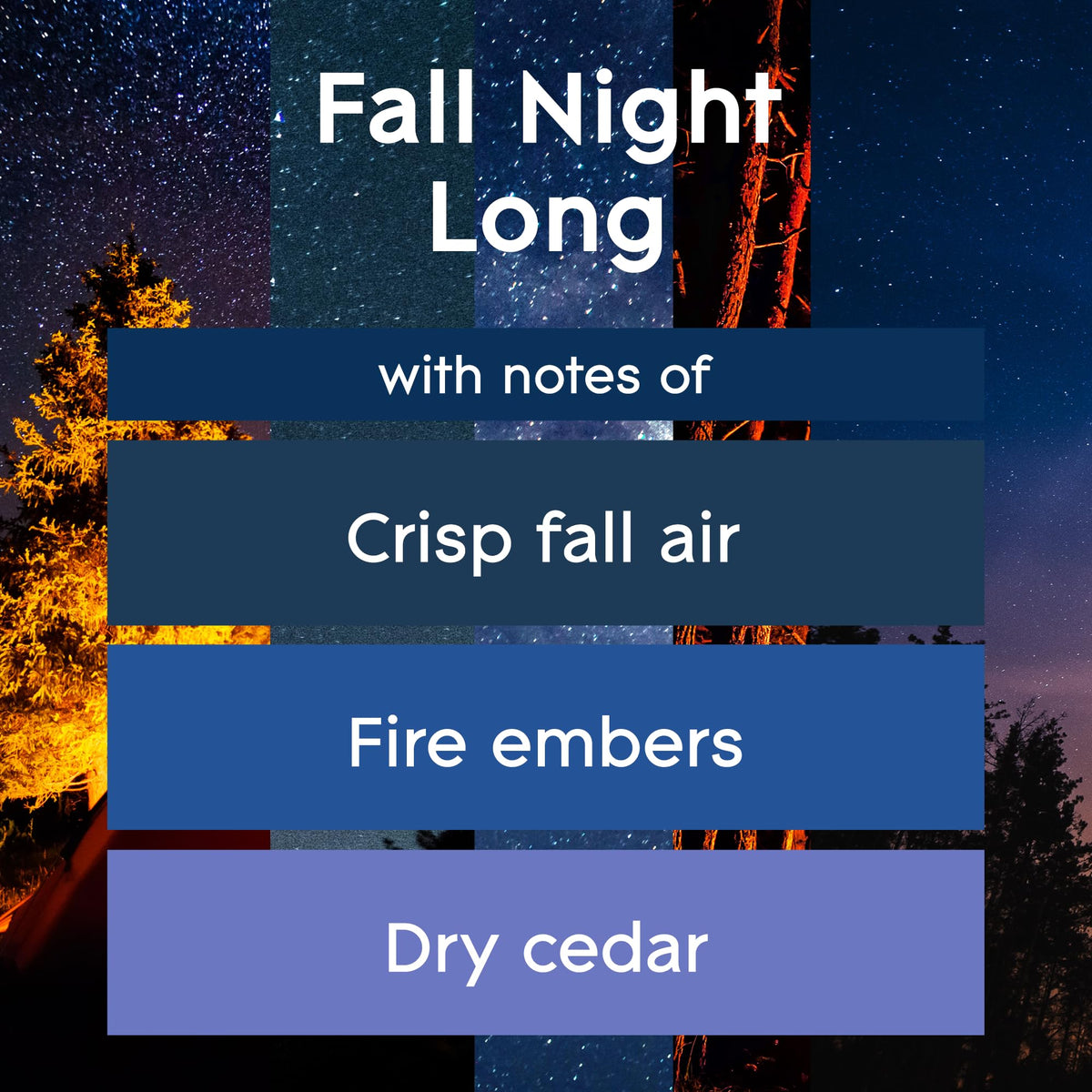 Glade PlugIns Refills Air Freshener, Scented and Essential Oils for Home and Bathroom, Fall Night Long + Starlight & Snowflakes Mix Pack, 4.69 Fl Oz