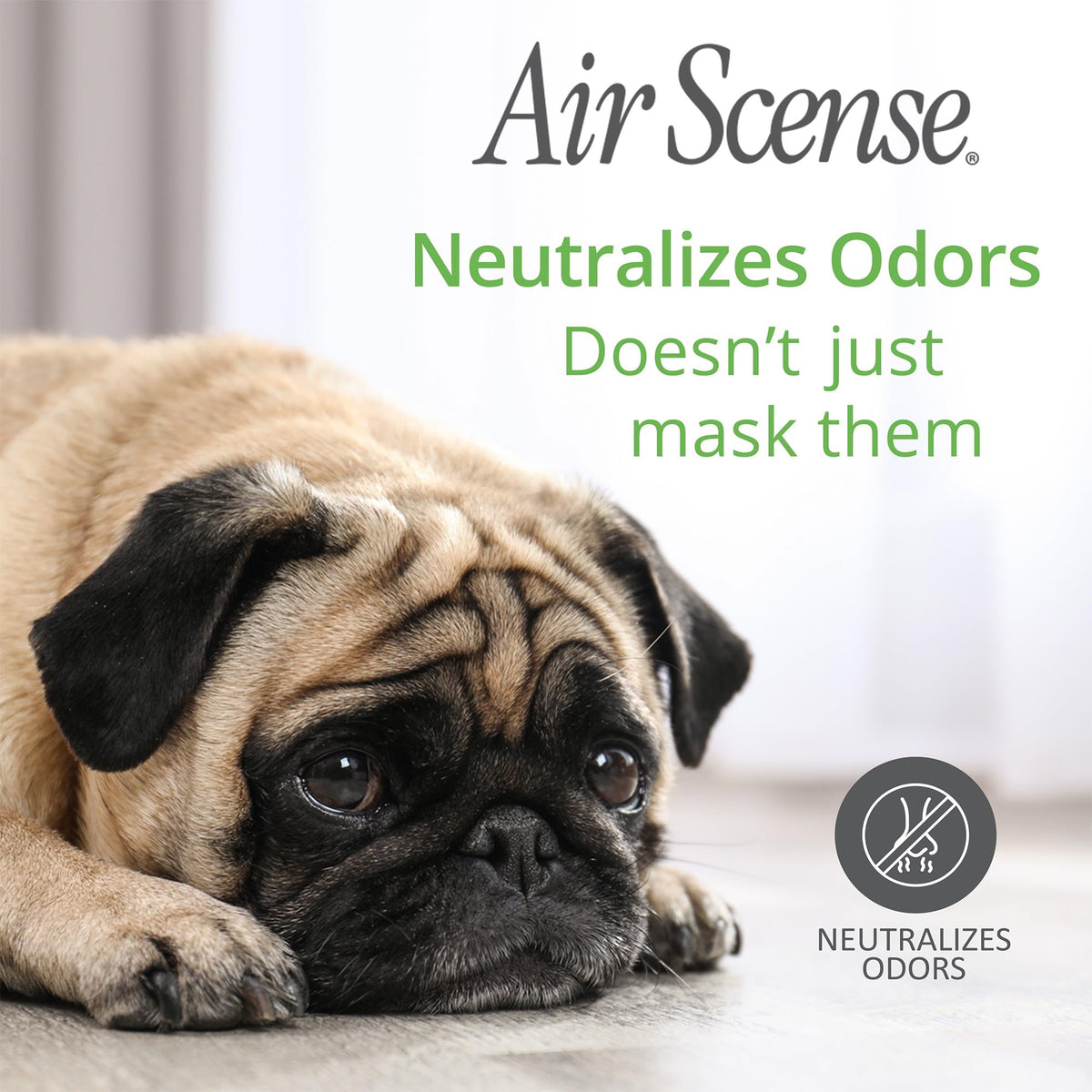 Air Scense Essential Oil Air Freshener - Lime Scent - Non-Aerosol - 7 fl oz | Refreshing, Long-Lasting Scent | Eco-Friendly | Exceptional Value