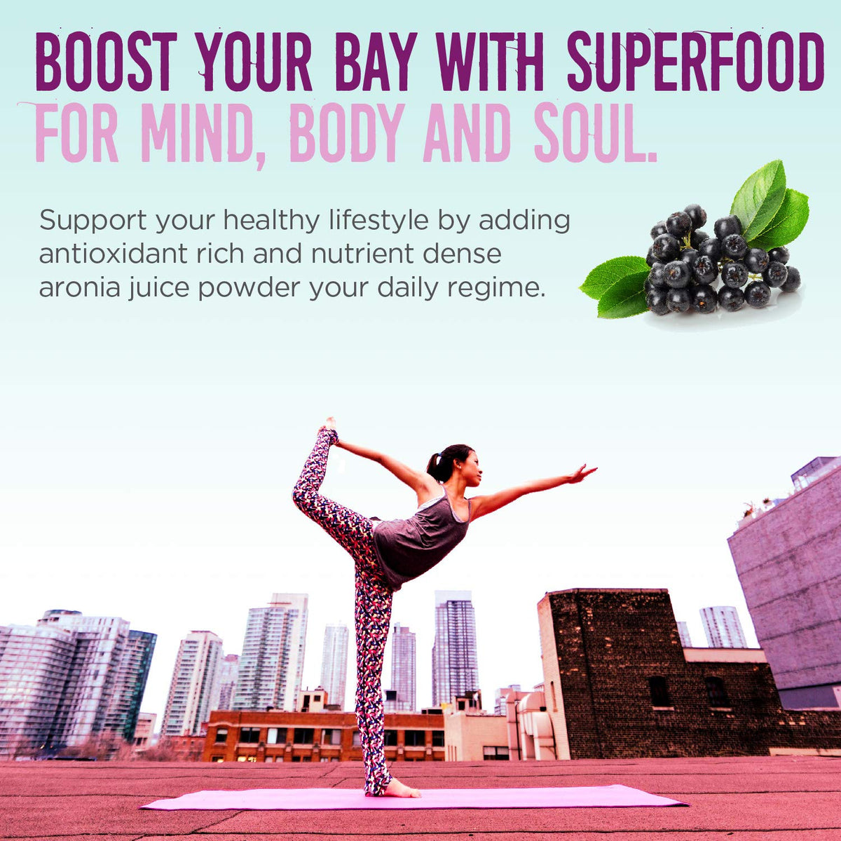 Alovitox Aronia Berry Powder | Antioxidant-Dense Juice Superfood with Dietary Fiber, Vitamins, Calcium, Iron, Boosts Immune System & Reduces Blood