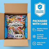 Candyman 15-Pound Bulk Chocolate Candy Variety Pack, Individually Wrapped