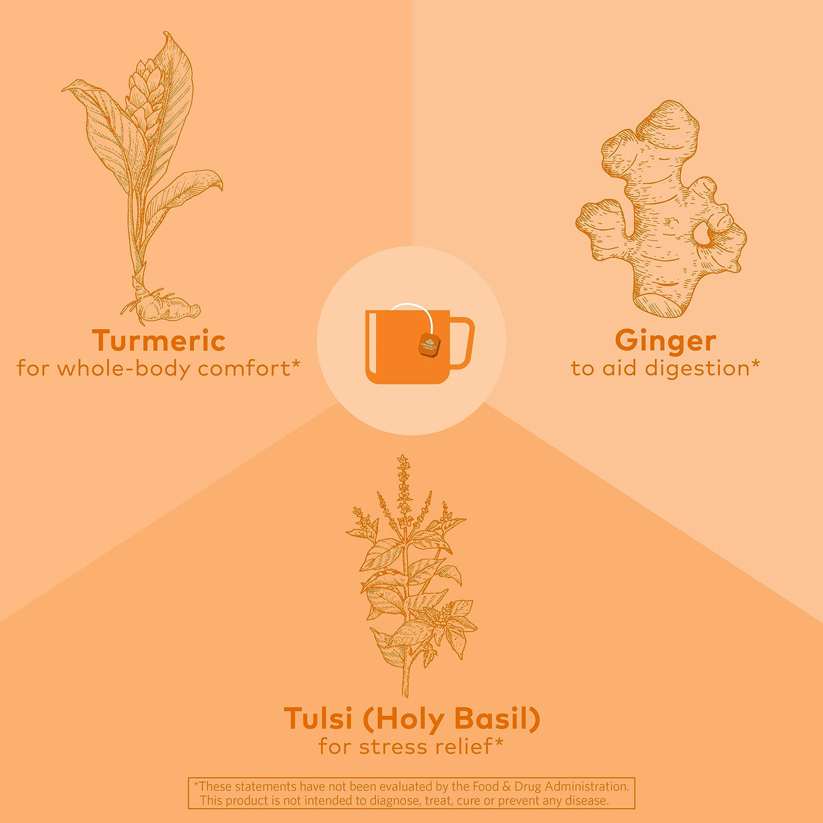 ORGANIC INDIA Tulsi Turmeric Ginger Tea Bags - Herbal Tea, Stress Relieving & Harmonizing, Immune Support, Healthy Inflammatory Response, Aids