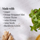 The Republic of Tea - Orange Ginger Mint Tea, 36 Tea Bags Caffeine-Free Gourmet Herbal Tea