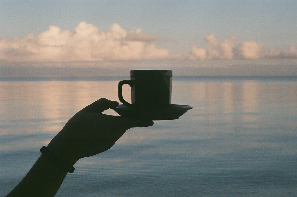 100% Kona Coffee - Whole Bean, Dark roast, Single estate gourmet coffee, 8 ounces, ships direct from Domain Kona Coffee, Farm fresh
