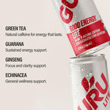 GURU Energy BEV Lite
