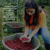 Coperaco Maestrale Espresso Blend Whole Coffee Beans, Medium Roast, Toasted Almond, Nutty and Chocolate, 1 Kg