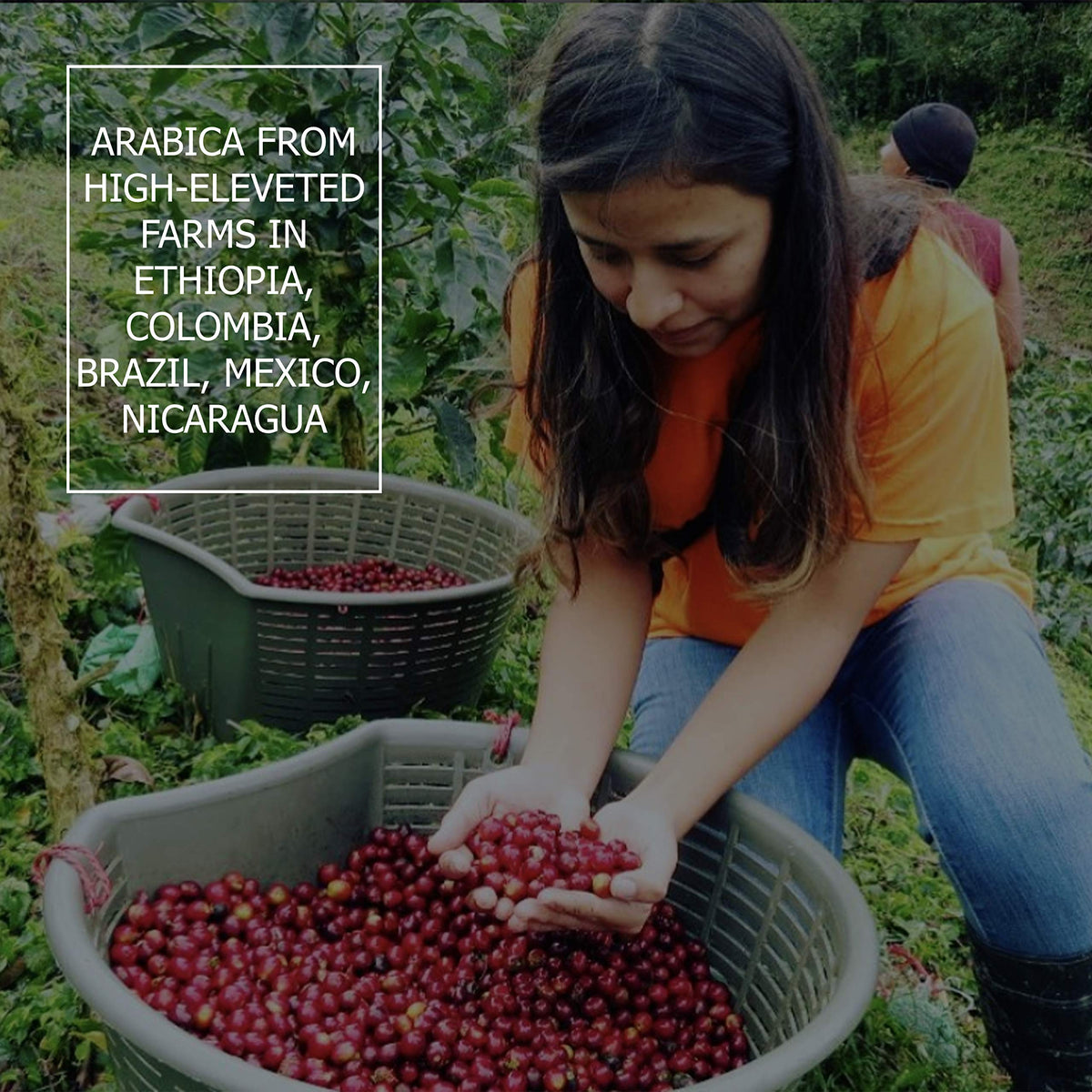 Coperaco Maestrale Espresso Blend Whole Coffee Beans, Medium Roast, Toasted Almond, Nutty and Chocolate, 1 Kg