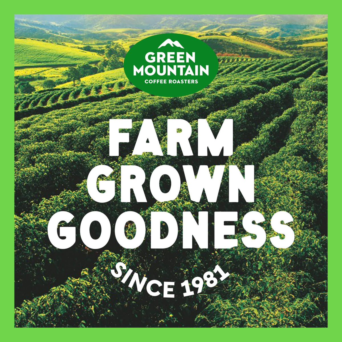 Green Mountain Coffee Roasters, Breakfast Blend Decaf, Ground Coffee, Decaffeinated, Light Roast, Bagged 12oz.
