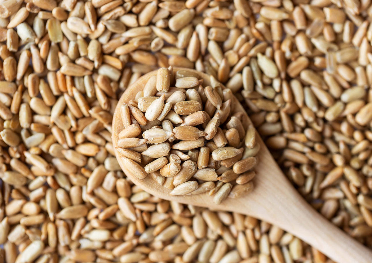 Food to Live - Dry Roasted Sunflower Seed Kernels with Himalayan Salt, 2 Pounds - Oven Roasted Lightly Salted, No Shell, Vegan, Kosher, Bulk.